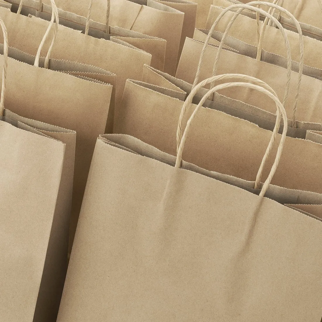 Paper Shopping Bags