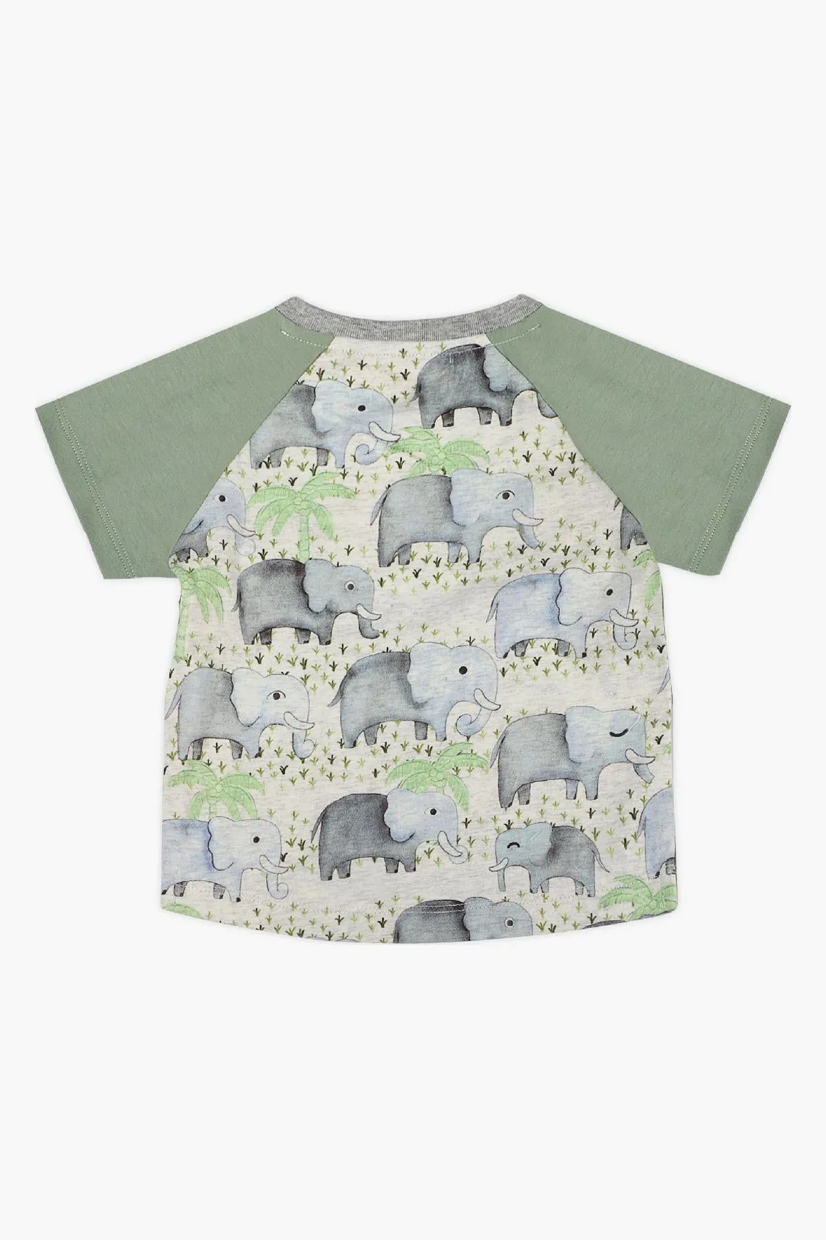 Paper Wings Elephant Raglan Baby Boys T-Shirt